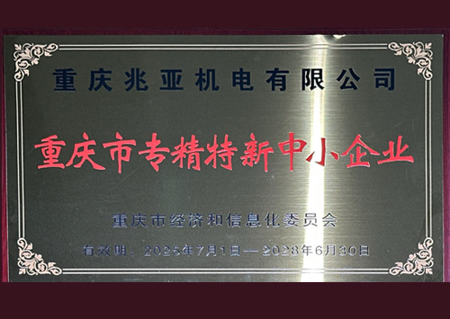 重庆市专精特新中小企业